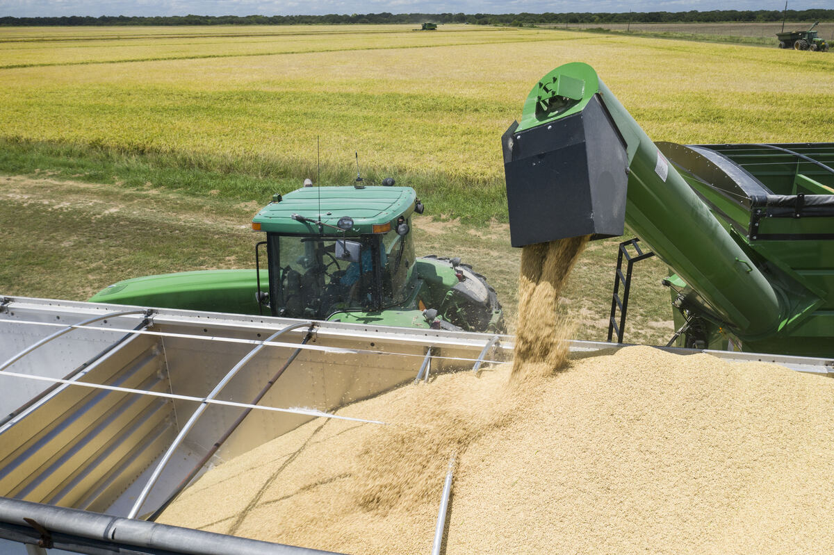 Graan stroomt uit een vijzel in een open aanhangwagen, met een tractor erachter