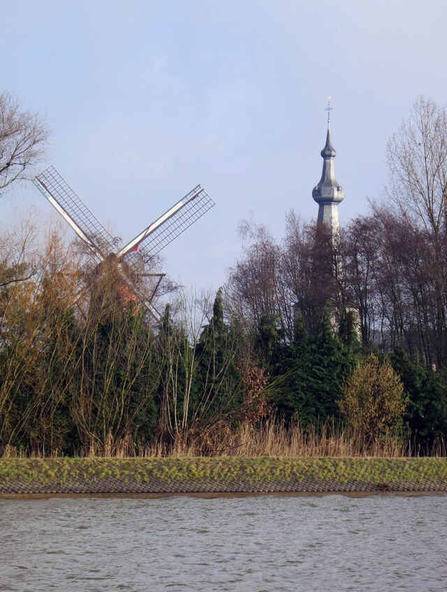 De kerktoren van Oelegem boven de bomen